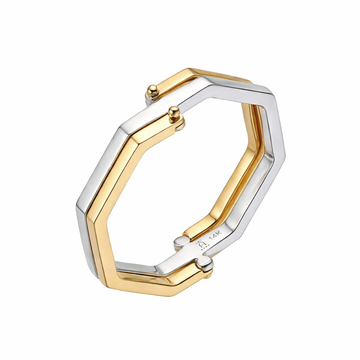 Flipping Elegant Two Toned Ring