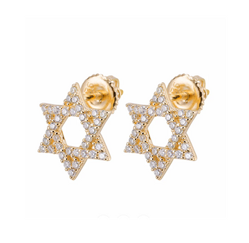 Star of David Earrings